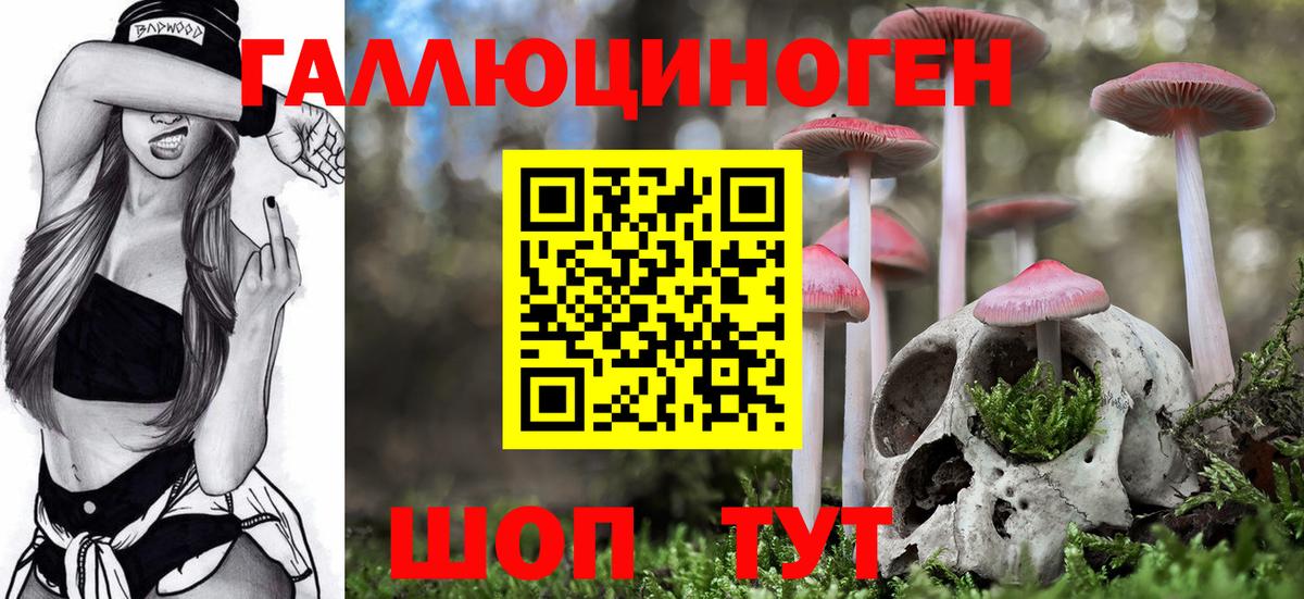 Галлюциногенные грибы Cubensis Лесосибирск